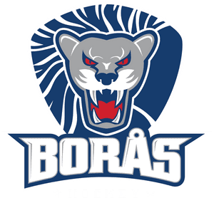 Borås HC